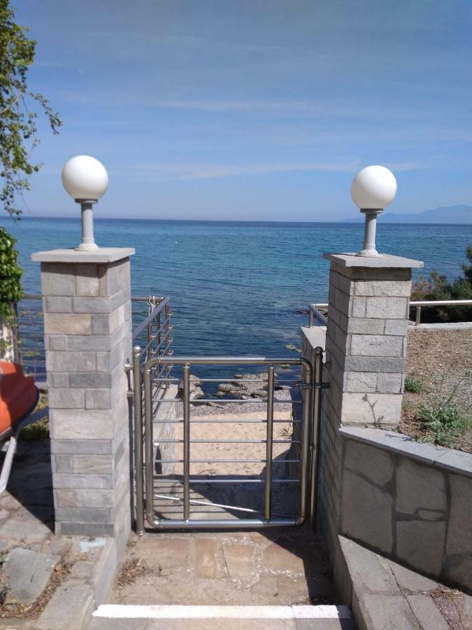 Evaliana Seaside Apartment PalaiónTsiflíkion Zewnętrze zdjęcie